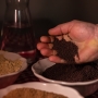 Friese Mosterdmakerij impressie 2