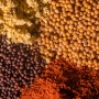 Friese Mosterdmakerij impressie 26